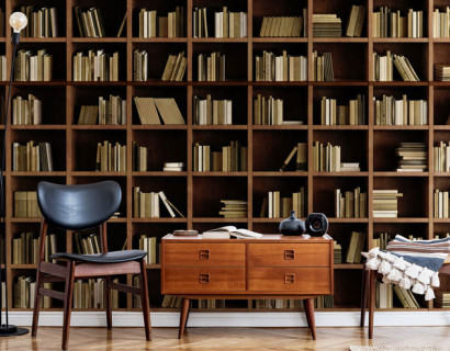 Libraries and Books of America: Exploring Knowledge and Culture