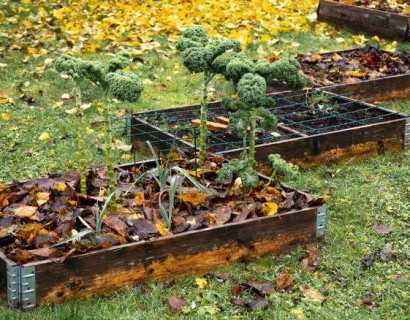 How to Winterize Your Garden: The Complete 2026 Checklist