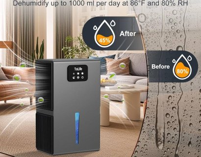 The Best Dehumidifiers The Spruce Has Tested
