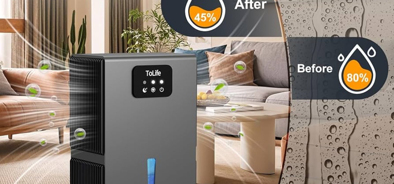 The Best Dehumidifiers The Spruce Has Tested