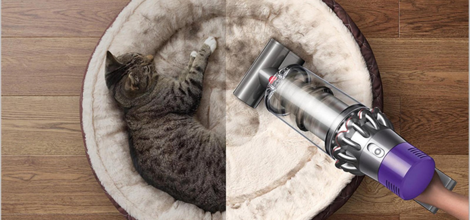 Dyson vs Shark for Pet Hair: Which Vacuum Actually Wins in 2026